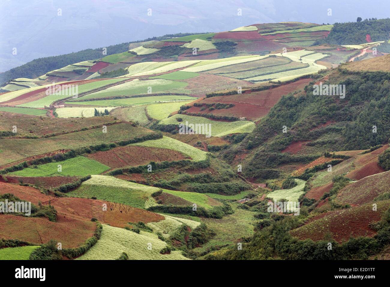 Chine Yunnan Province District Dongchuan Jinxiuyuan beau jardin Banque D'Images