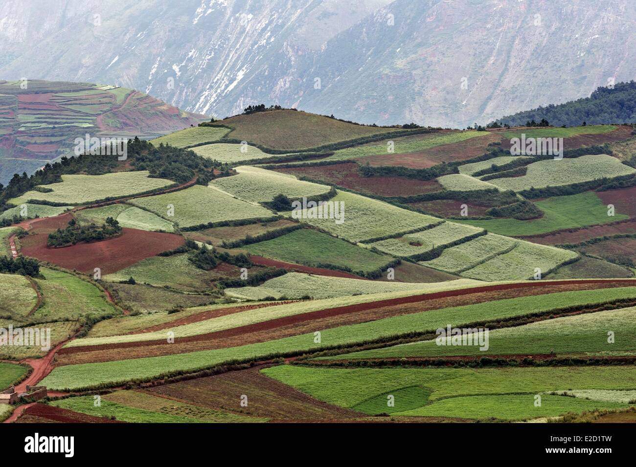 Chine Yunnan Province District Dongchuan Jinxiuyuan beau jardin Banque D'Images