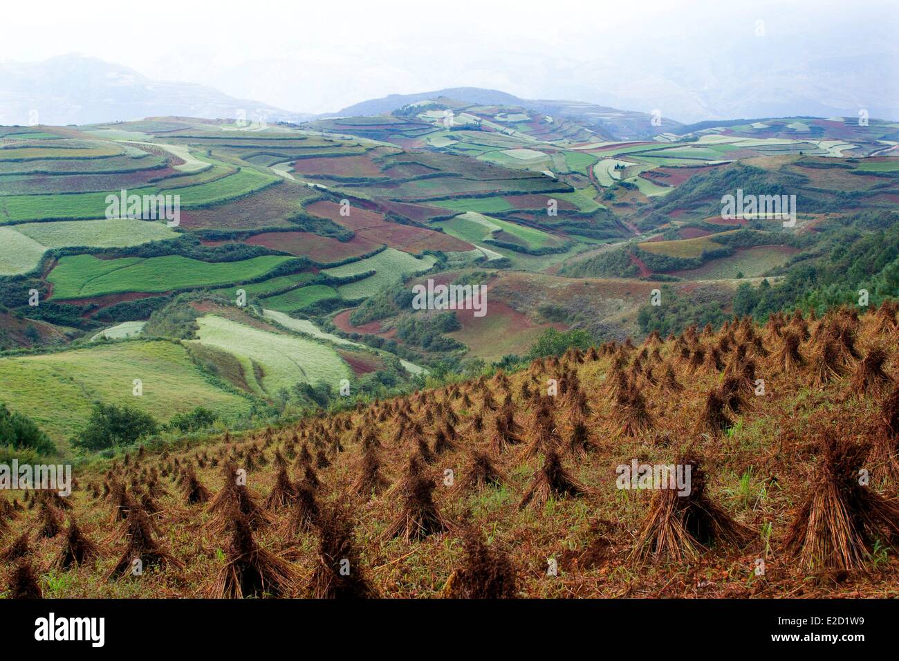 Chine Yunnan Province District Dongchuan Jinxiuyuan beau jardin Banque D'Images