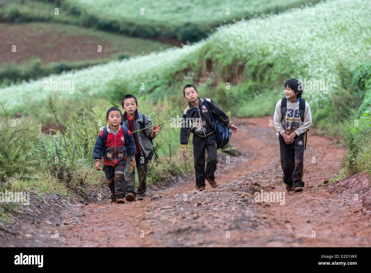 Chine Yunnan Province District Dongchuan terres rouges Guoditang cultures en terrasses des enfants à l'école Banque D'Images