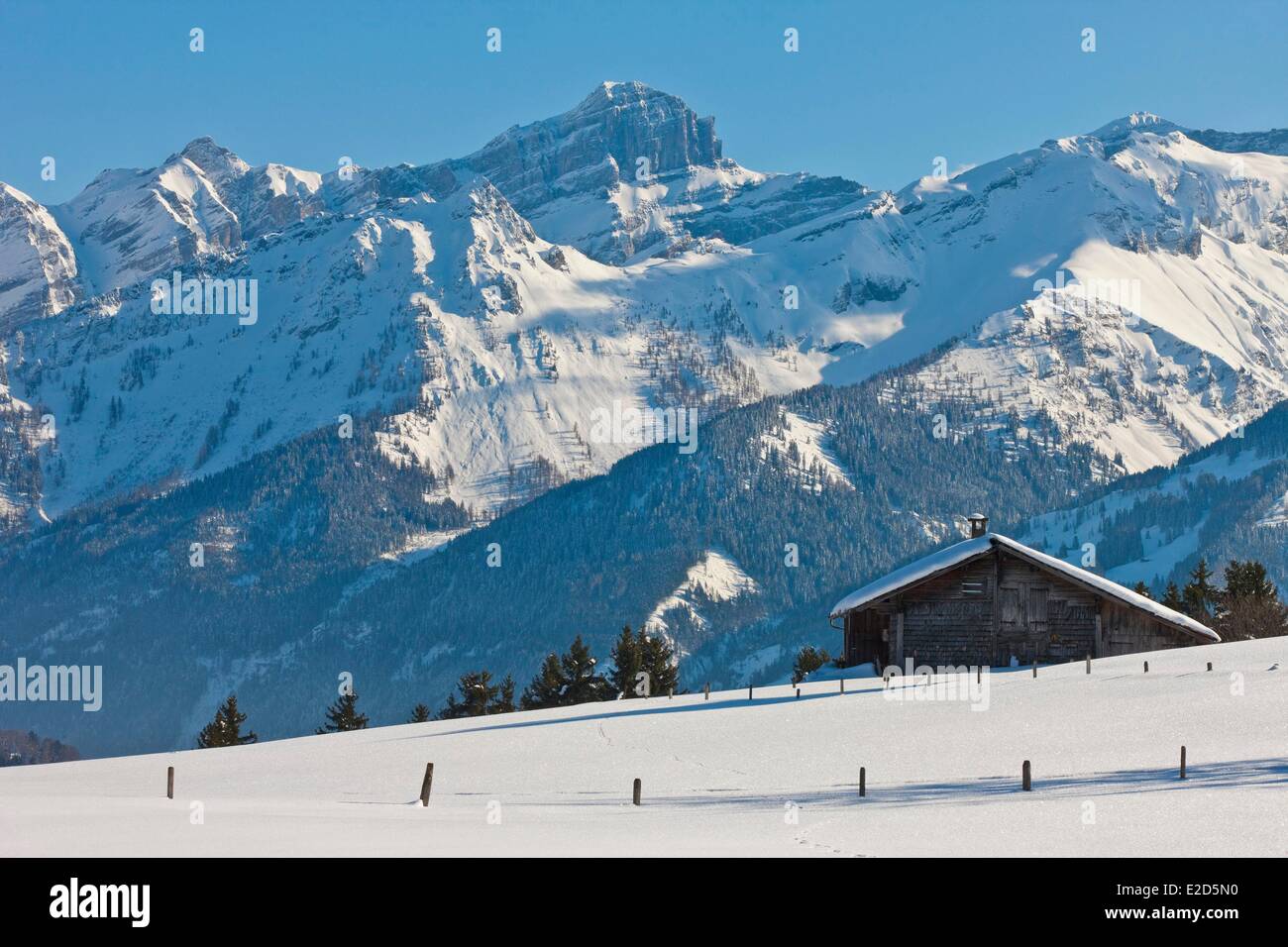 Suisse Canton de Vaud Villars sur Ollon Banque D'Images