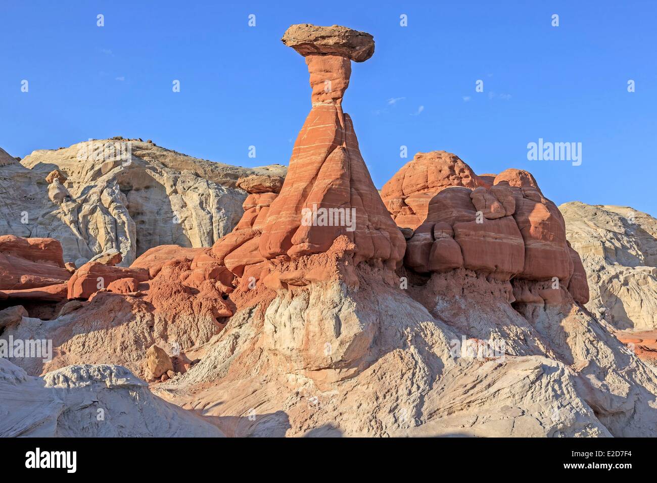 United States Utah Colorado Plateau Grand Staircase-Escalante National Monument près de Kanab formations rocheuses appelées Toadstool Banque D'Images