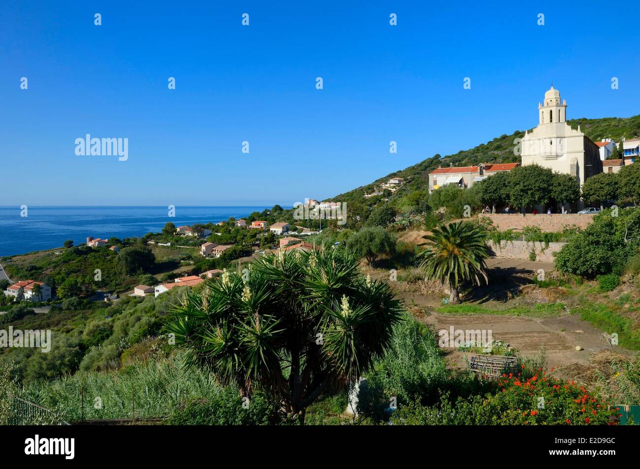 France, Corse du Sud, Cargèse, Église gréco-catholique de Saint Spyridon (rite oriental ou uniates) construit entre 1852 et 1870 Banque D'Images