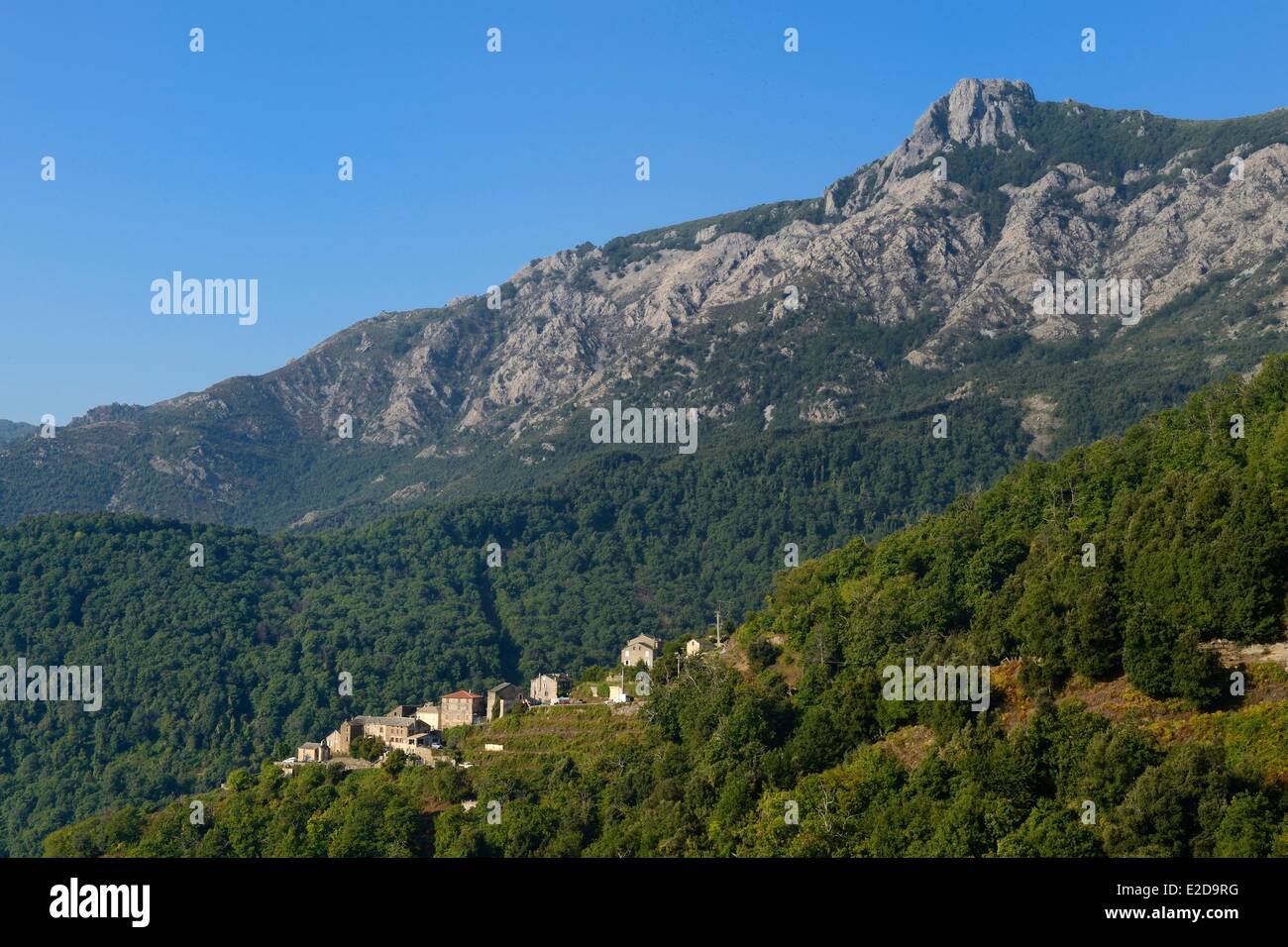 France Haute Corse Castagniccia Village Banque De Photographies Et D france-haute-corse-castagniccia-village-banque-de-photographies-et-d