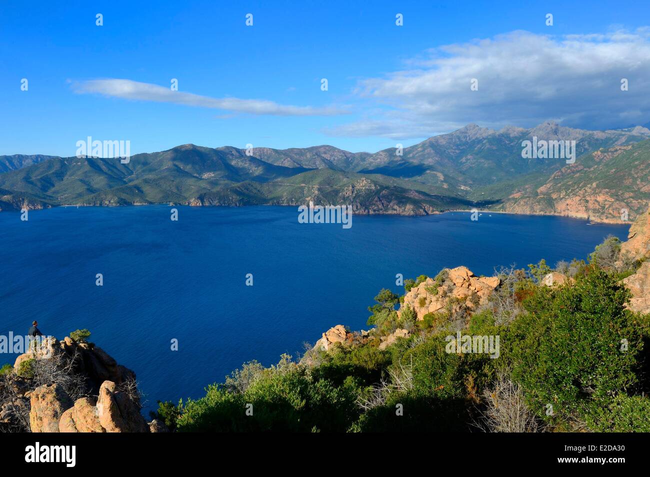 France, Corse du Sud, Golfe de Porto, classé au Patrimoine Mondial par l'UNESCO, les Calanques de Piana (Charente-Maritime) avec les roches de granit rose Banque D'Images