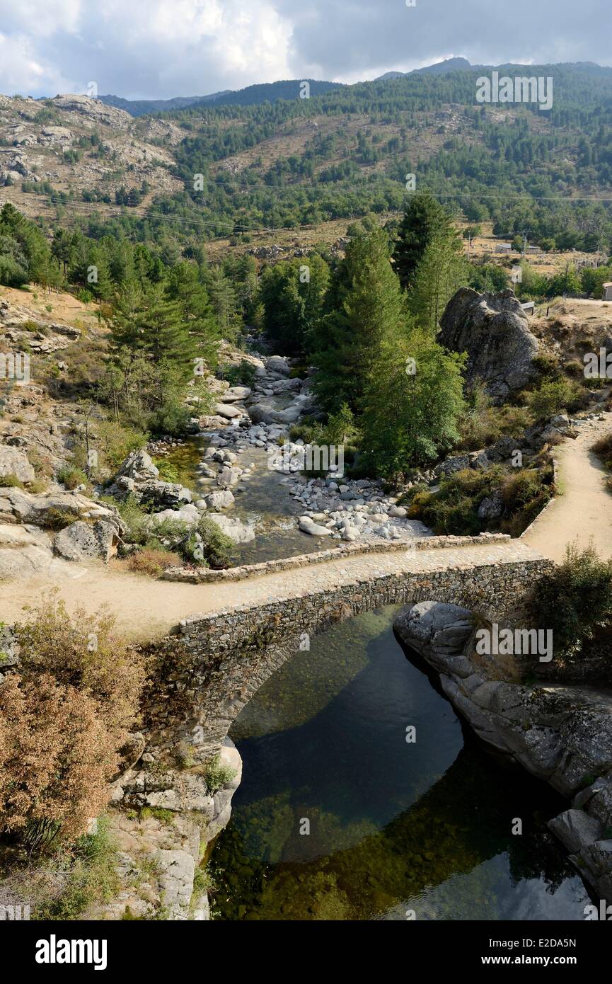 France, Haute Corse, Niolu (Niolo) région, pont génois Ponte au cours de la pension de la rivière Golo Banque D'Images