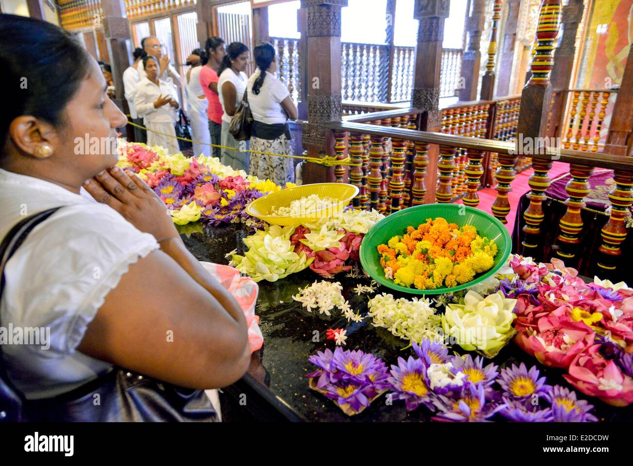 Sri Lanka, province, district de Kandy, Kandy, ville sacrée de Kandy inscrite au Patrimoine Mondial de l'UNESCO, Temple Dalada Maligawa, Pilgrim apportant des offrandes pour la cérémonie de la dent du Bouddha Banque D'Images