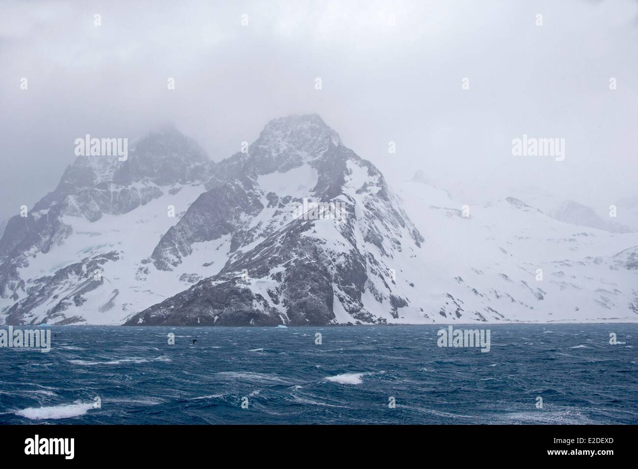 L'île de Géorgie du Sud Antarctique Elsehul Banque D'Images