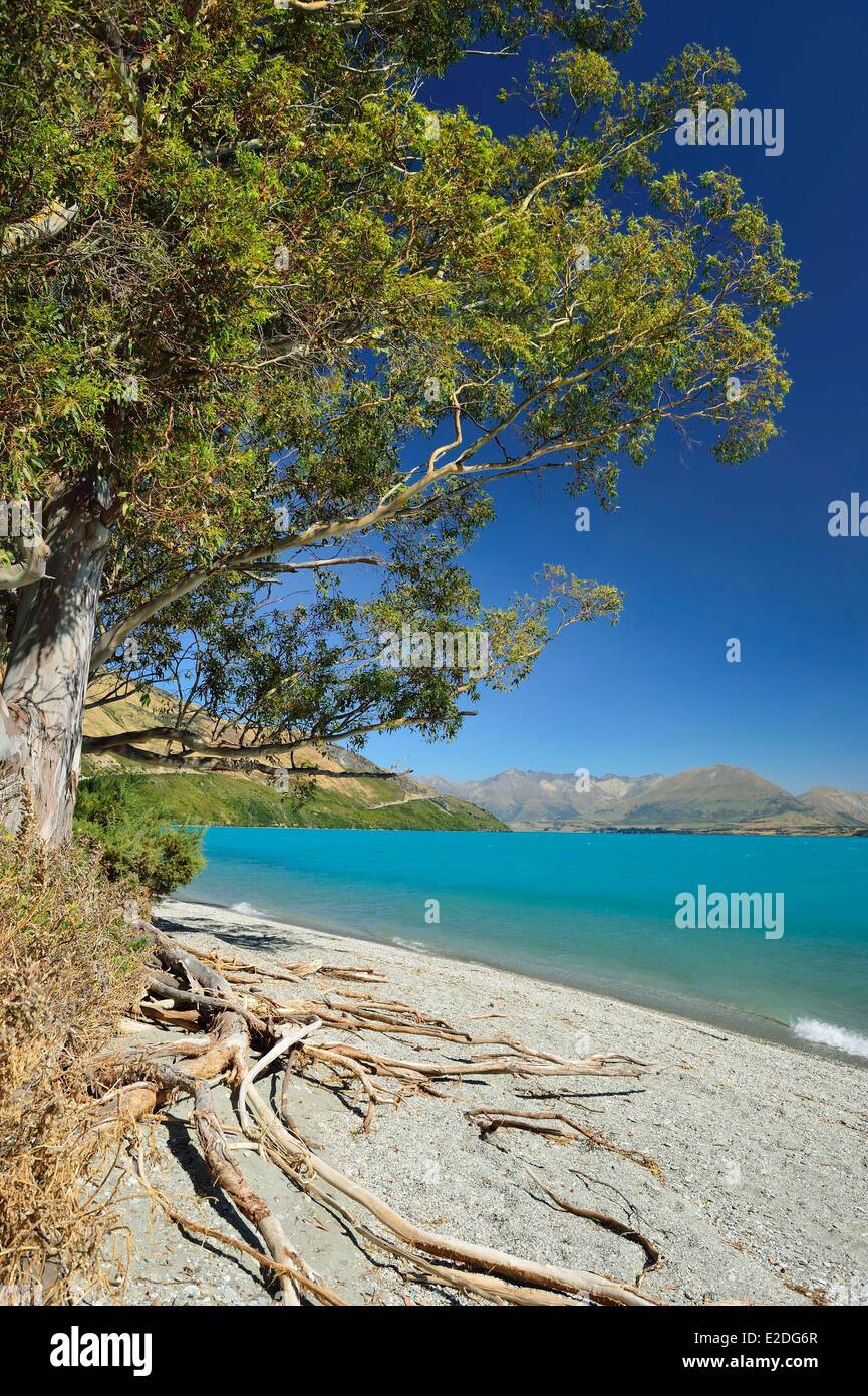 L'île du Sud Nouvelle-zélande Otago région le Lac Wakatipu entre Queenstown et Glenorchy Banque D'Images