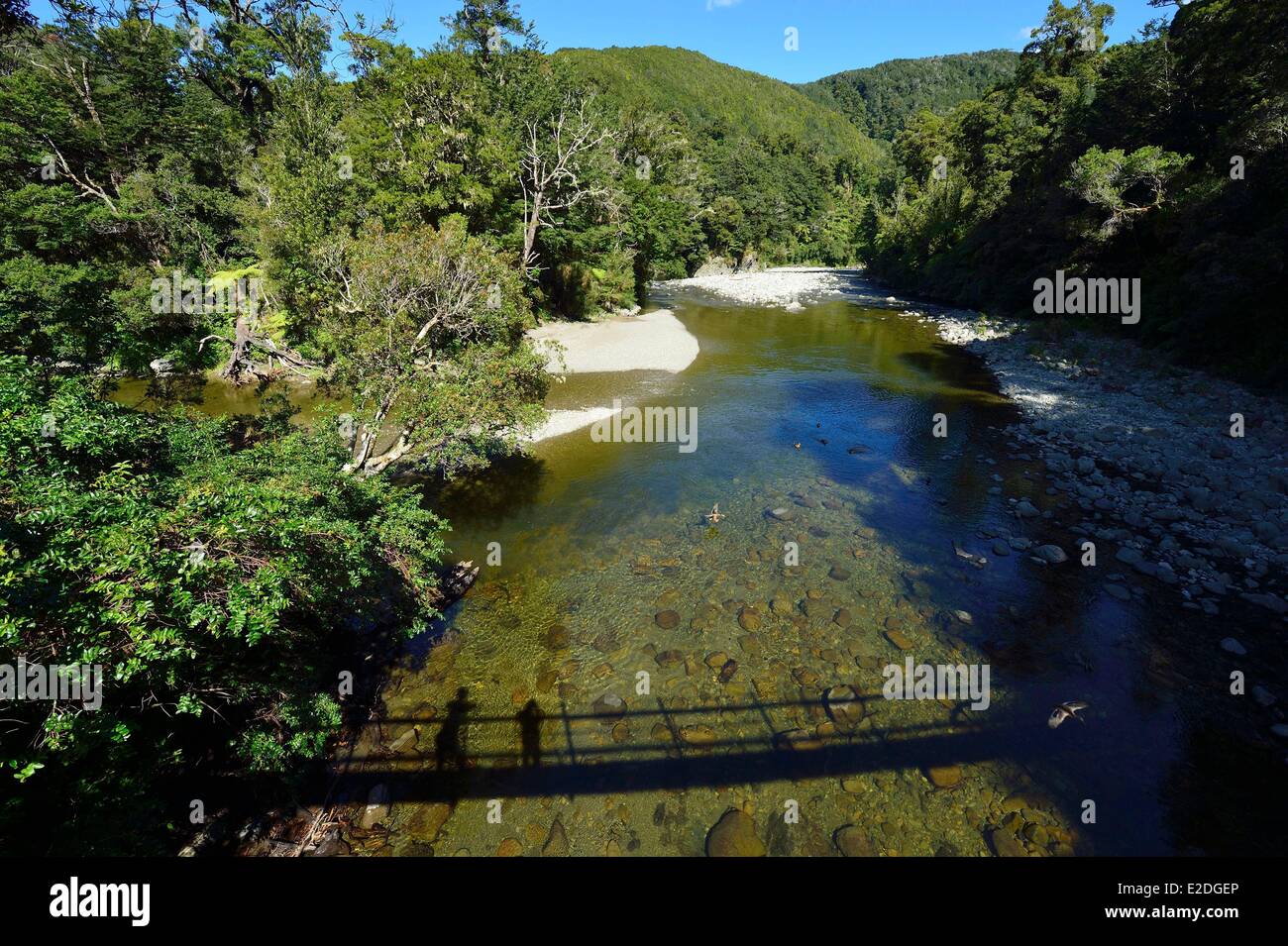 Nouvelle Zélande Île du Nord Wellington Kaitoke Regional Park où certaines scènes du seigneur des anneaux ont été filmées (le Banque D'Images