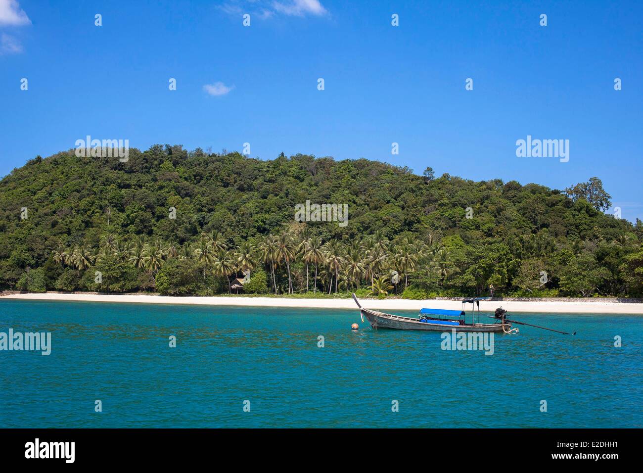 Thailande Phuket province Kho Yao Yai Island Beach et coco palm tree Banque D'Images