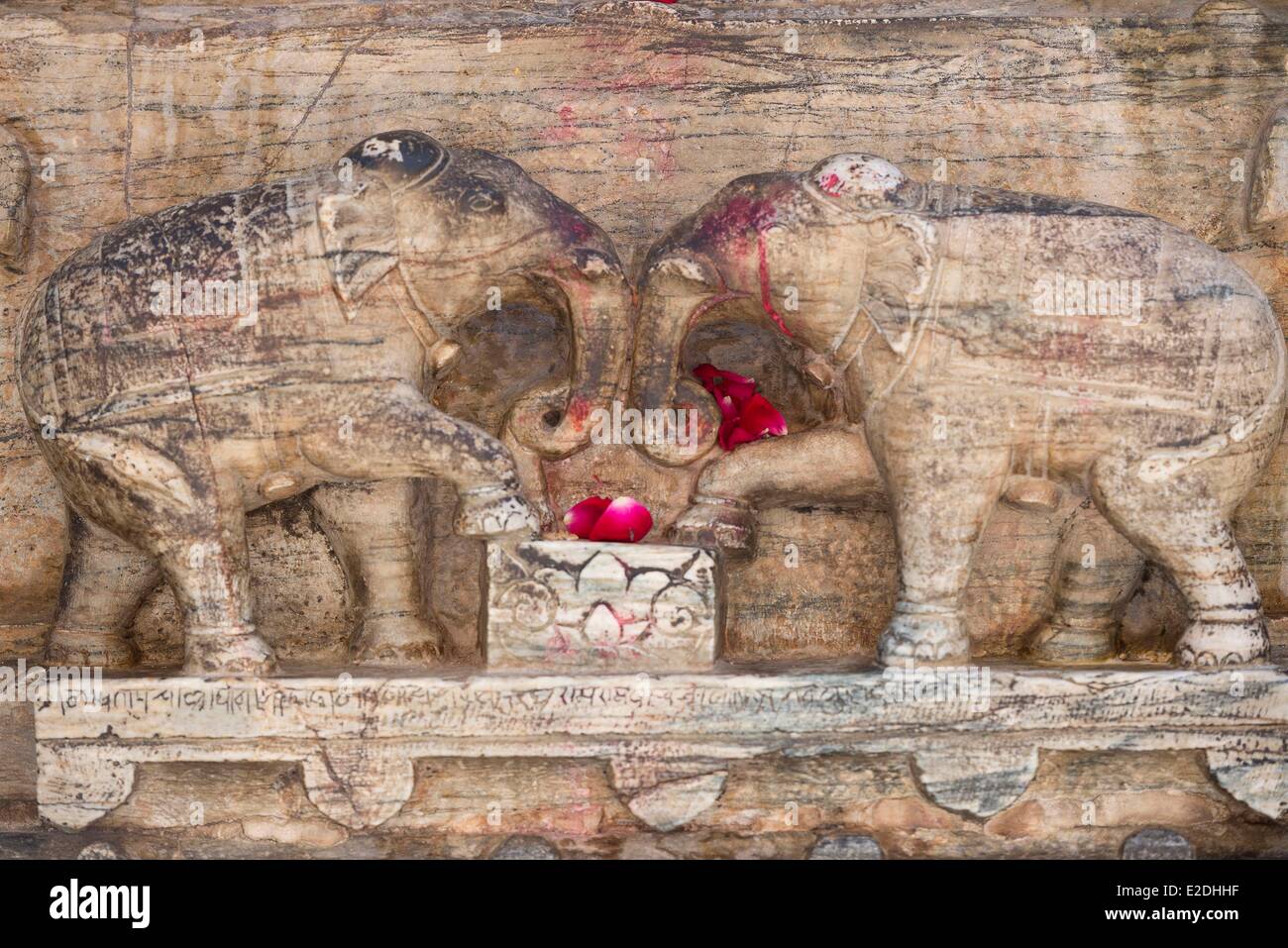 Inde Rajasthan Udaipur en éléphants à la Temple Jagdish temple hindou dédié au dieu Vishnu Banque D'Images