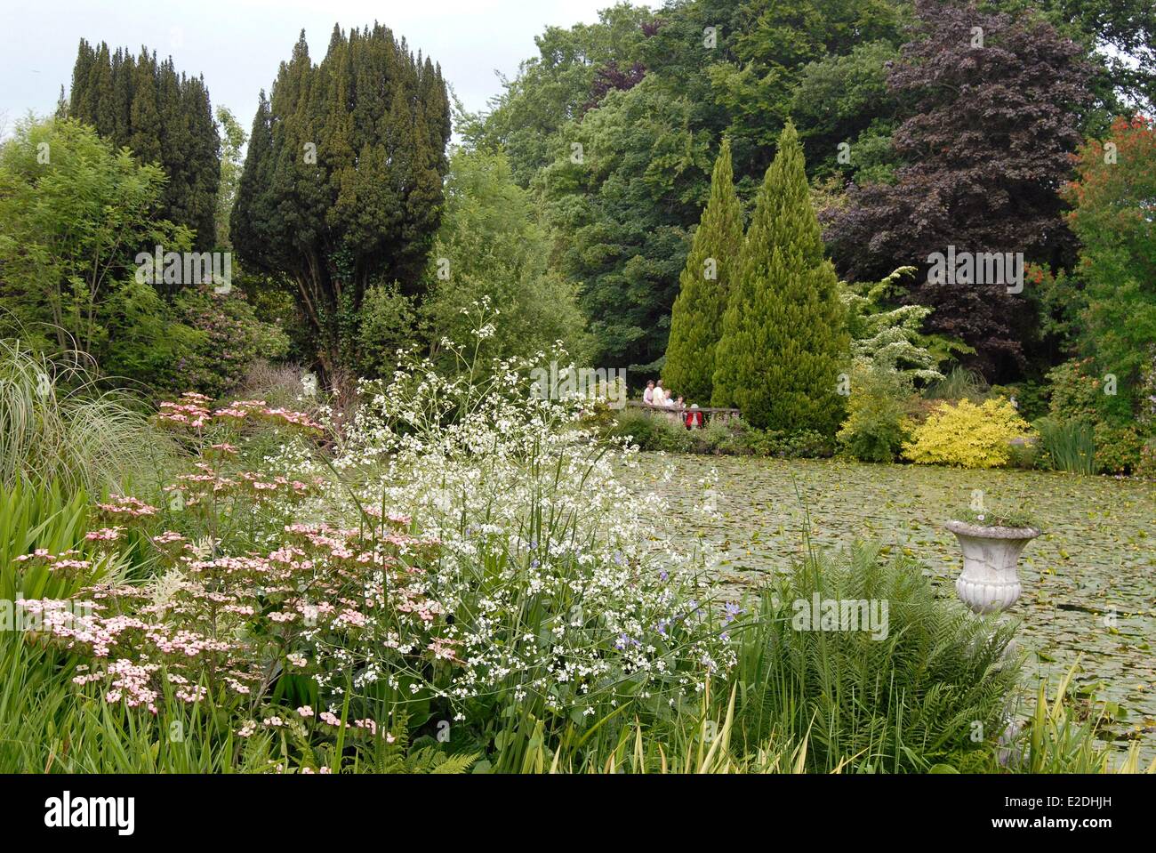 Comté de Carlow Irlande Tullow Altamont Gardens un mélange de jardin formel et lac sauvage couverte de nénuphars Banque D'Images Comté de Carlow Irlande Tullow Altamont Gardens un mélange de jardin formel et lac sauvage couverte de nénuphars Banque D'Images