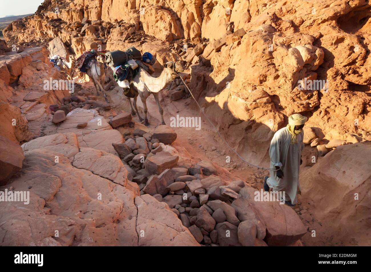 Le sud du Tchad Sahara Ennedi Orogo camelherder toubou passage massif dans le détroit menant au plateau Banque D'Images