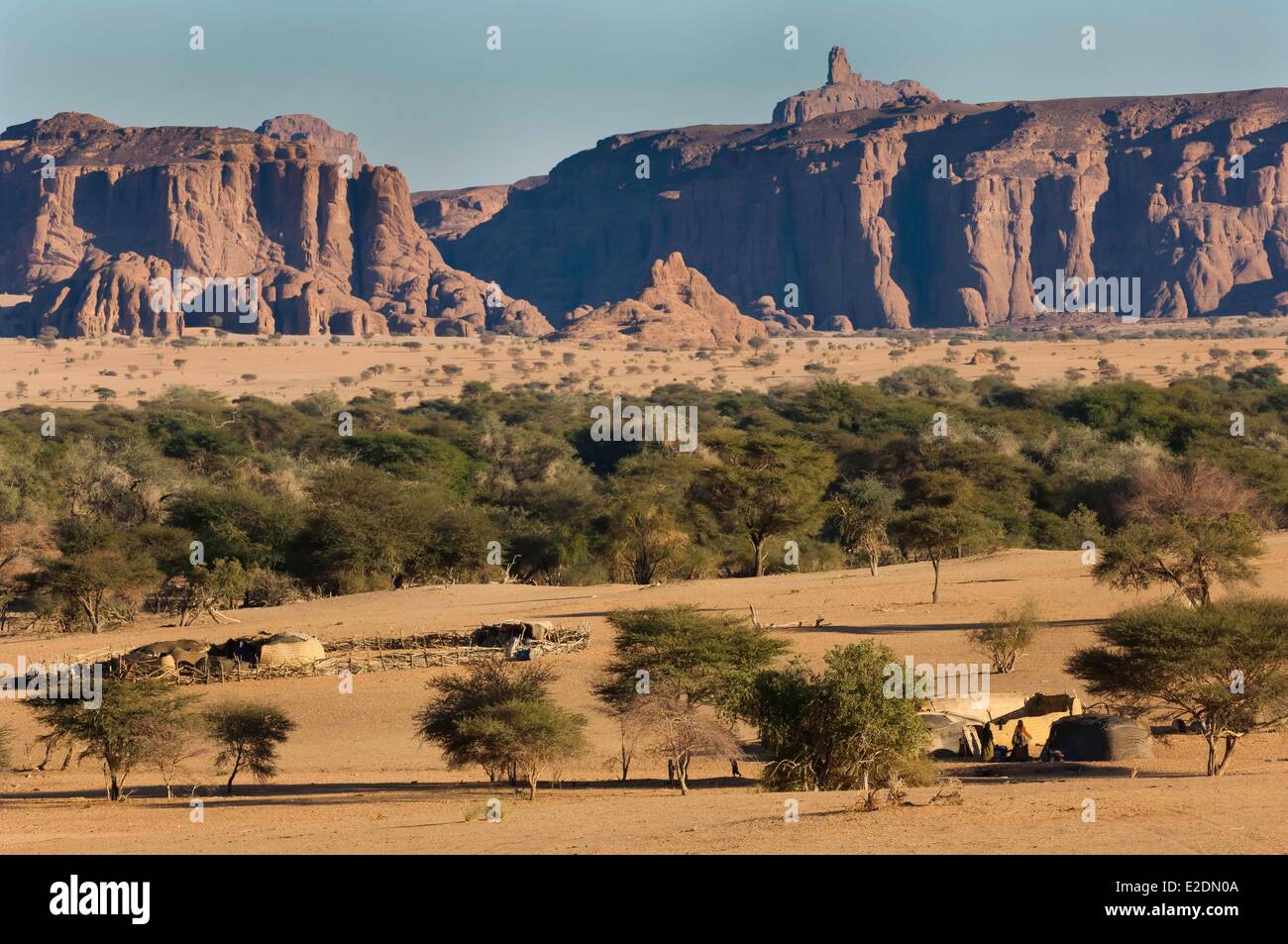 Le sud du Tchad Sahara Ennedi massif Archei camp nomade Toubou Photo ...