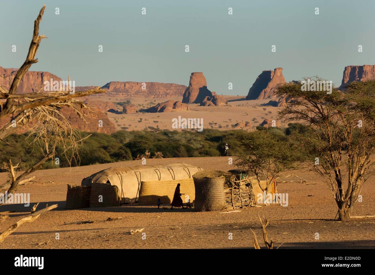 Le sud du Tchad Sahara Ennedi massif Archei camp nomade Toubou Banque D'Images