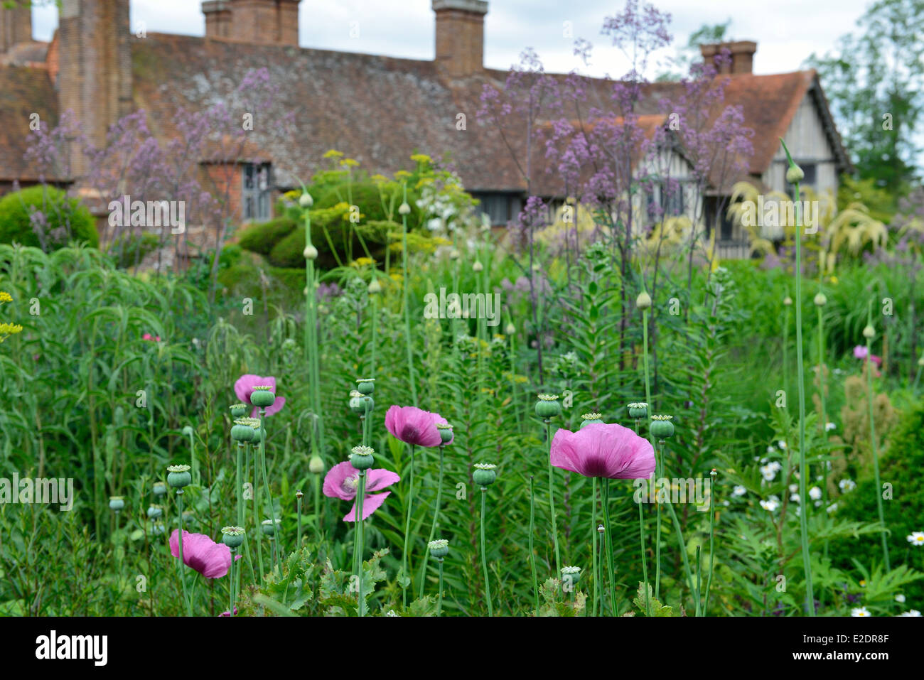 Great Dixter House et jardins. Rye, Rye. East Sussex. L'Angleterre. UK Banque D'Images