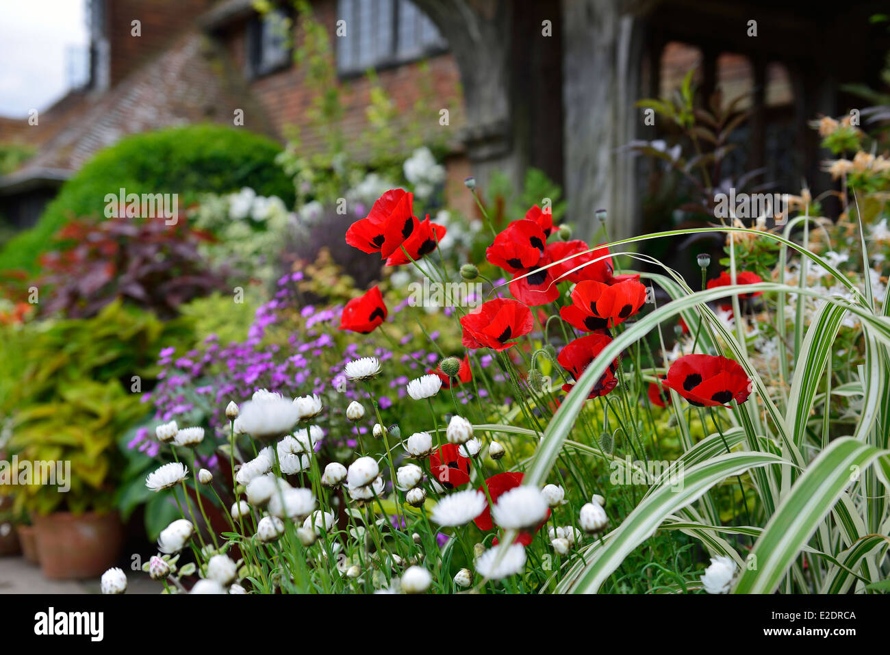 Great Dixter House et jardins. Rye, Rye. East Sussex. L'Angleterre. UK Banque D'Images