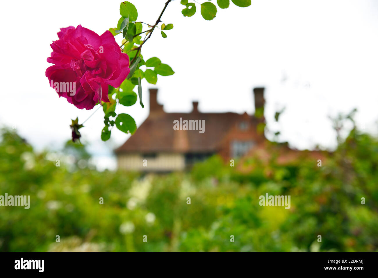 Great Dixter House et jardins. Rye, Rye. East Sussex. L'Angleterre. UK Banque D'Images