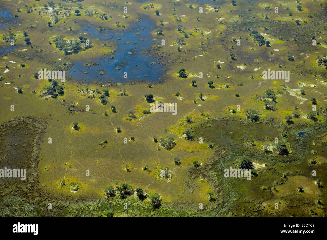 District du Nord-Ouest Botswana delta de l'Okavango (vue aérienne) Banque D'Images