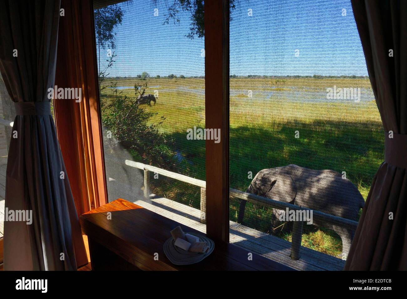 District du Nord-Ouest Botswana Delta de l'Okavango le Vumbura Plains est un camp de luxe situé sur une concession sur le nord Banque D'Images