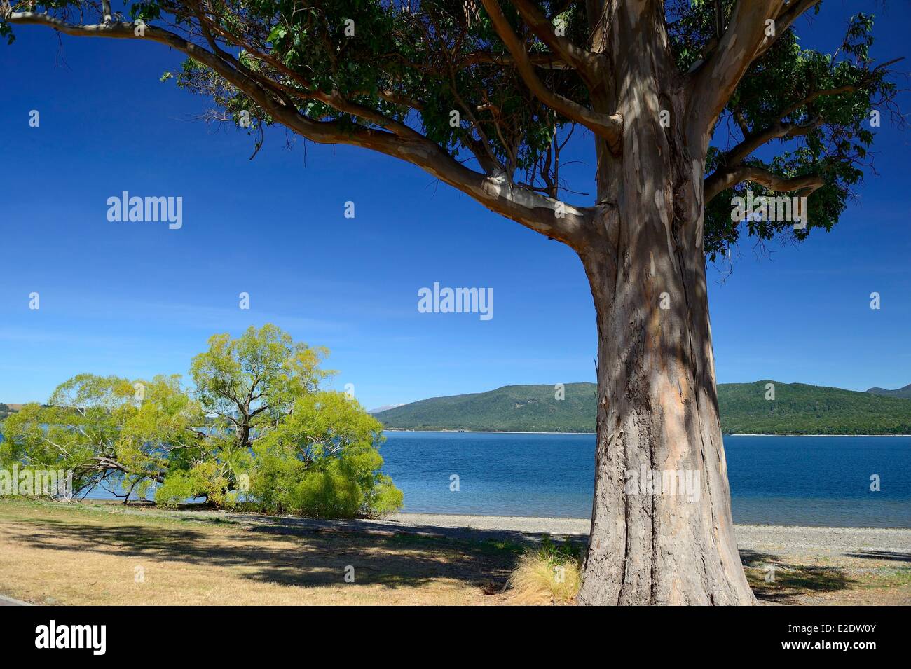 L'île du Sud Nouvelle-zélande Southland région Lac Te Anau est le plus grand lac de l'île du Sud Banque D'Images