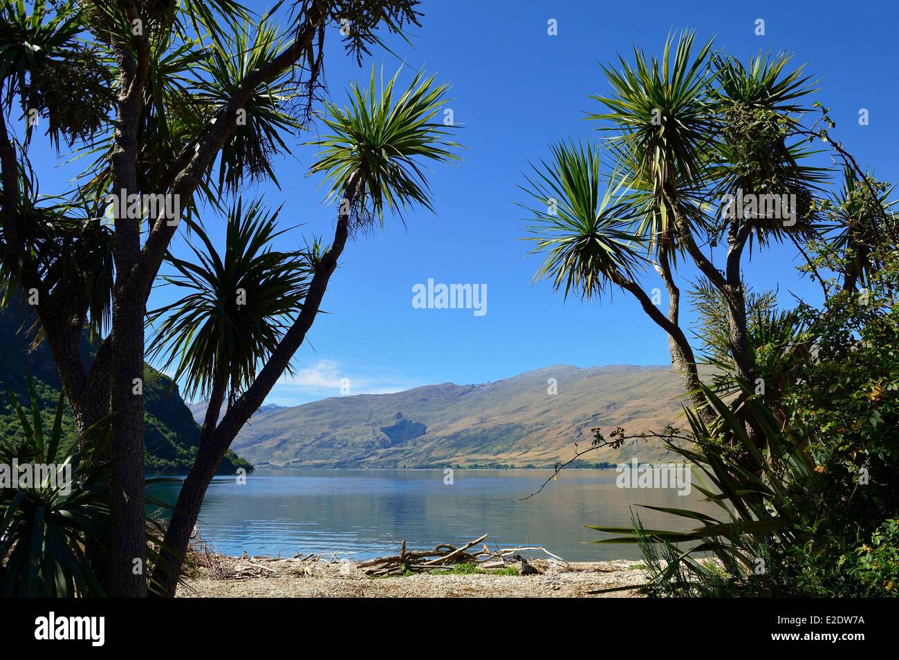 Nouvelle Zélande, île du Sud, région de l'Otago, le Lac Wakatipu est le plus long de la Nouvelle-Zélande avec une longueur de 80 kilomètres vers Banque D'Images