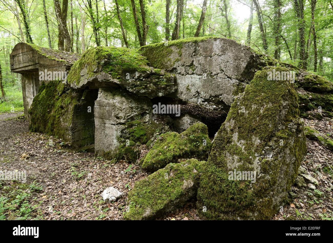 La France, Haut Rhin, Burnhaupt-le-Bas, Sentier des bunkers, des  fortifications datant de la Première Guerre mondiale et construit par  l'allemand Photo Stock - Alamy