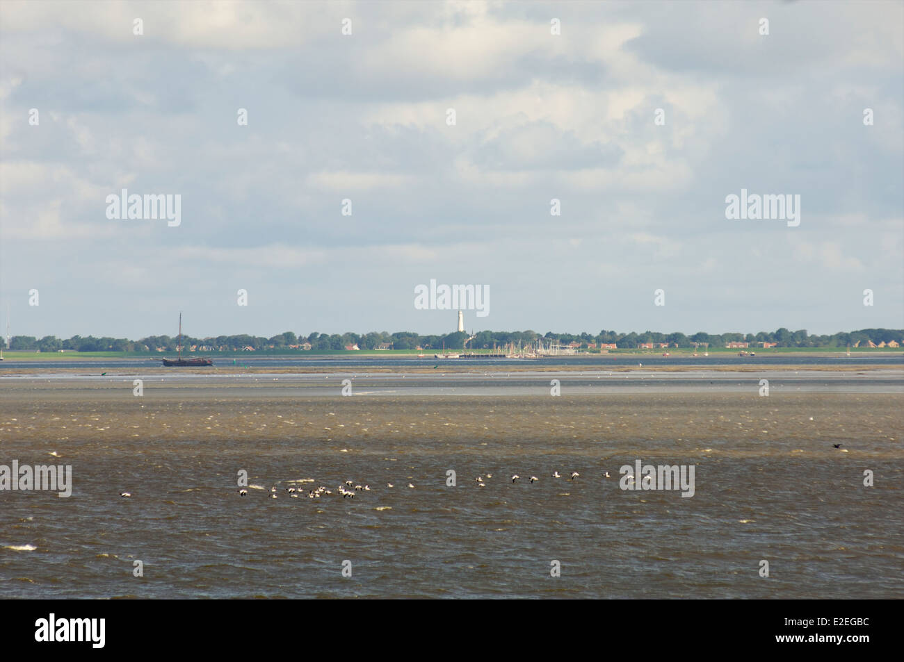 Oiseaux volant bas au-dessus de la mer des Wadden avec l'île de Schiermonnikoog en arrière-plan, Frise, Pays-Bas Banque D'Images