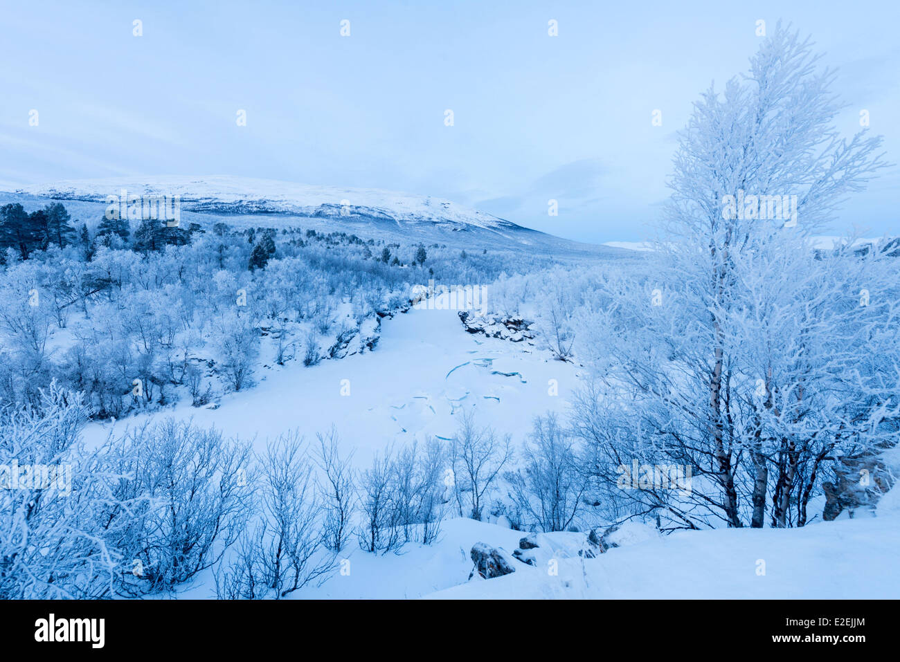 La Suède, la Laponie, Norrbotten, Kiruna, le long de la Kungsleden trail durant l'hiver en Abisko National Park en Laponie Suède Banque D'Images