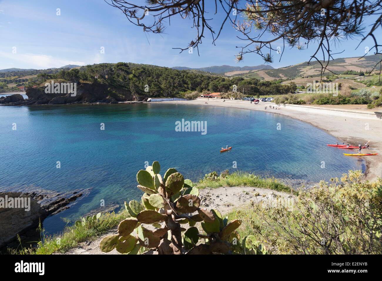 France Pyr n es Orientales Banyuls Sur Mer C te Vermeille Sur Le france-pyr-n-es-orientales-banyuls-sur-mer-c-te-vermeille-sur-le