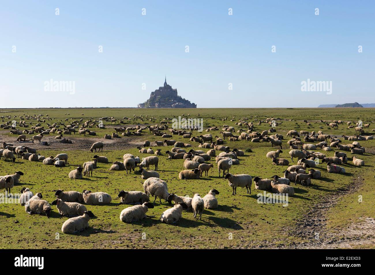 France Manche baie du Mont Saint Michel classé Patrimoine Mondial de l ...