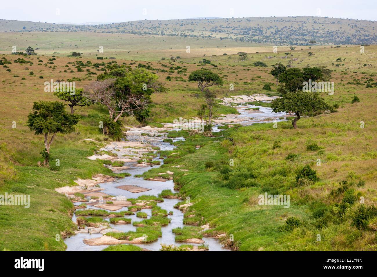 Kenya, Masai-Mara Game Reserve (vue aérienne), fleuve de sable Banque D'Images