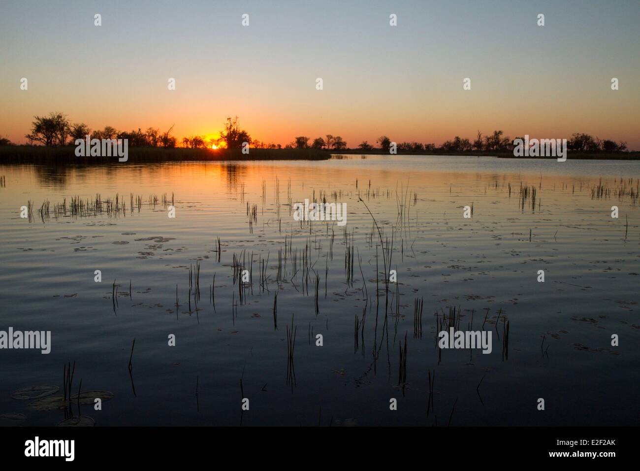 Le Botswana, Moremi, Okavango delta, coucher du soleil Banque D'Images