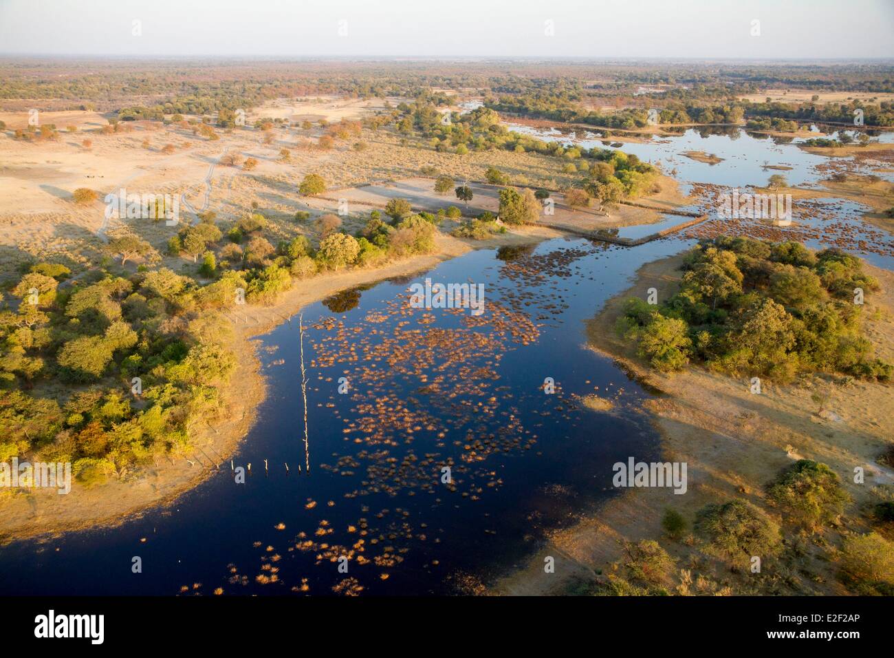 Le Botswana, Okavango delta (vue aérienne) Banque D'Images