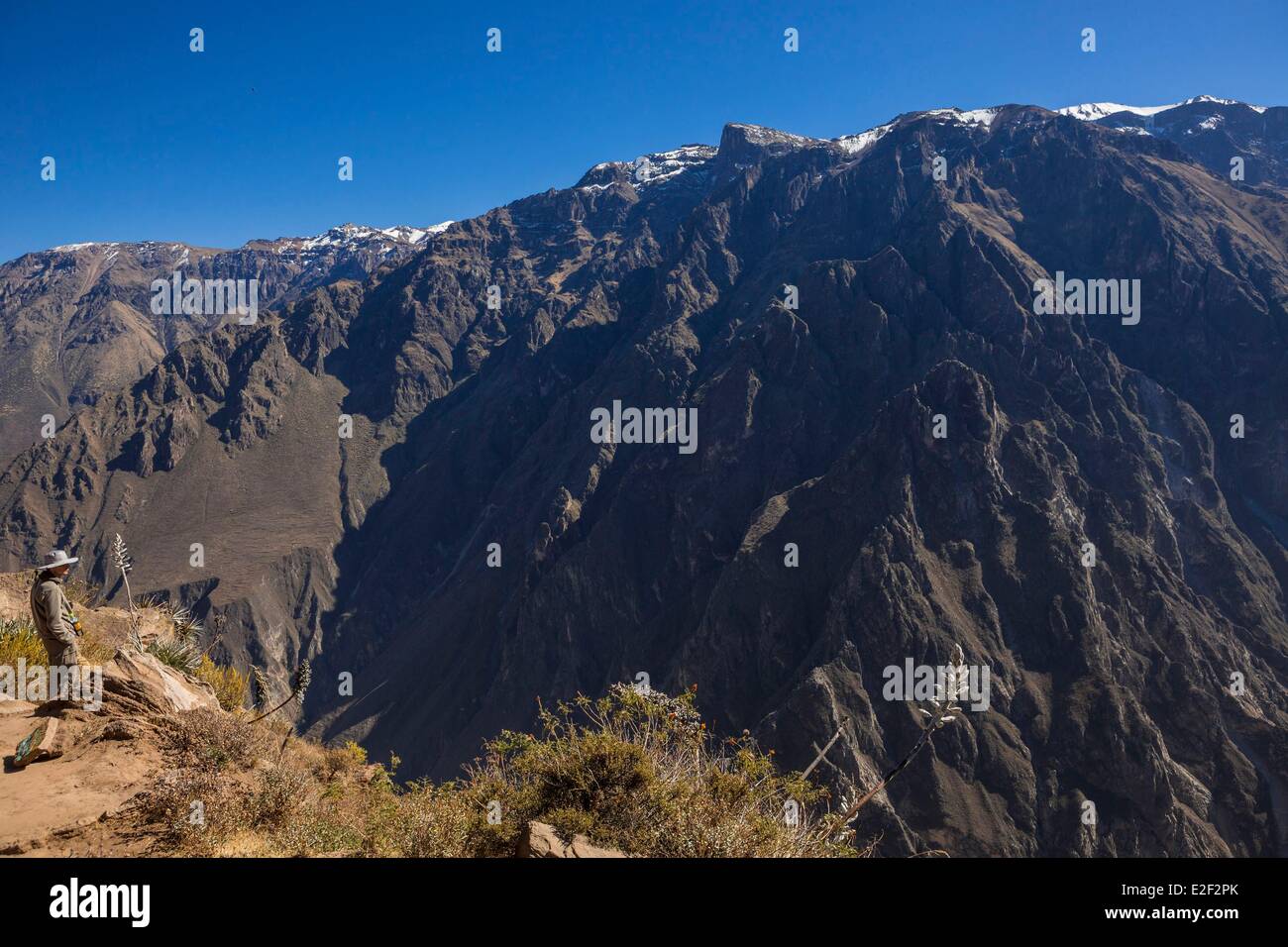 Pérou, Arequipa Canyon de Colca, ministère, la Croix du Condor (Cruz del Condor), place pour l'observation des Condors Banque D'Images