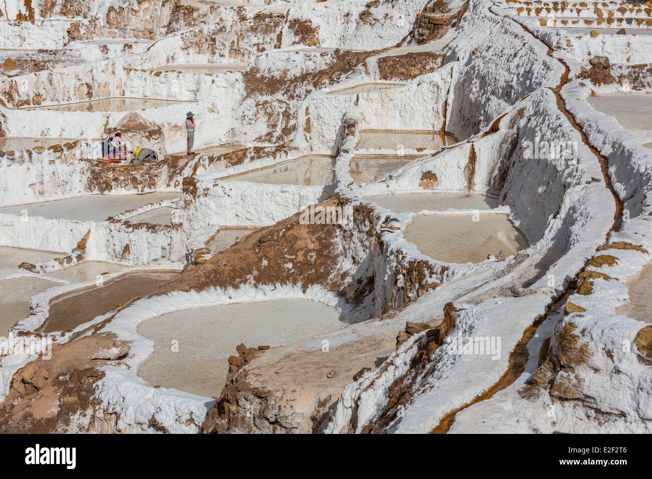 Le Pérou, Cuzco Province, Vallée Sacrée des Incas, Salinas de Maras, sel l'exploitation minière dans les Andes Banque D'Images