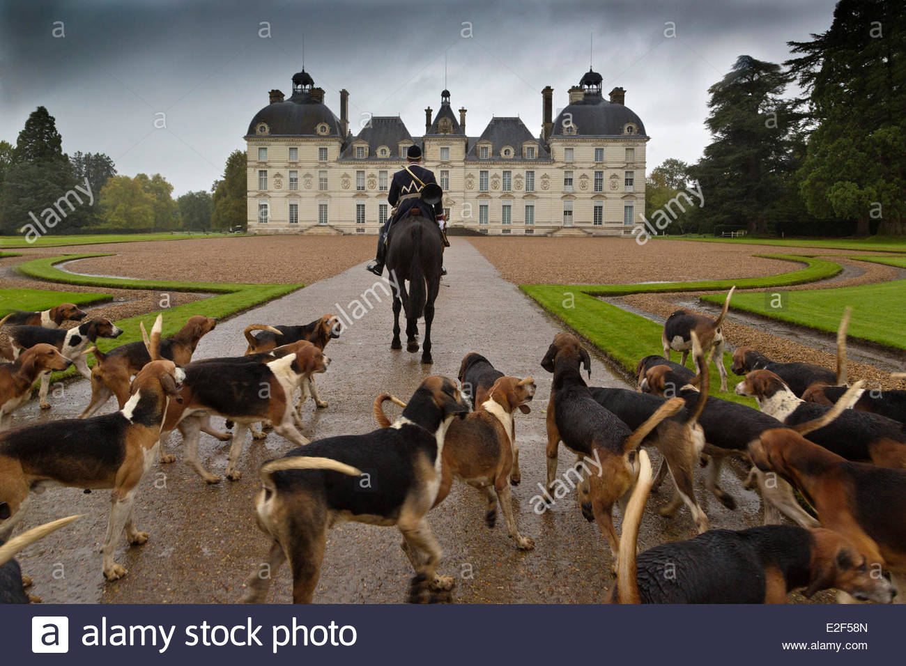 Hunter Dog France Photos Hunter Dog France Images Alamy