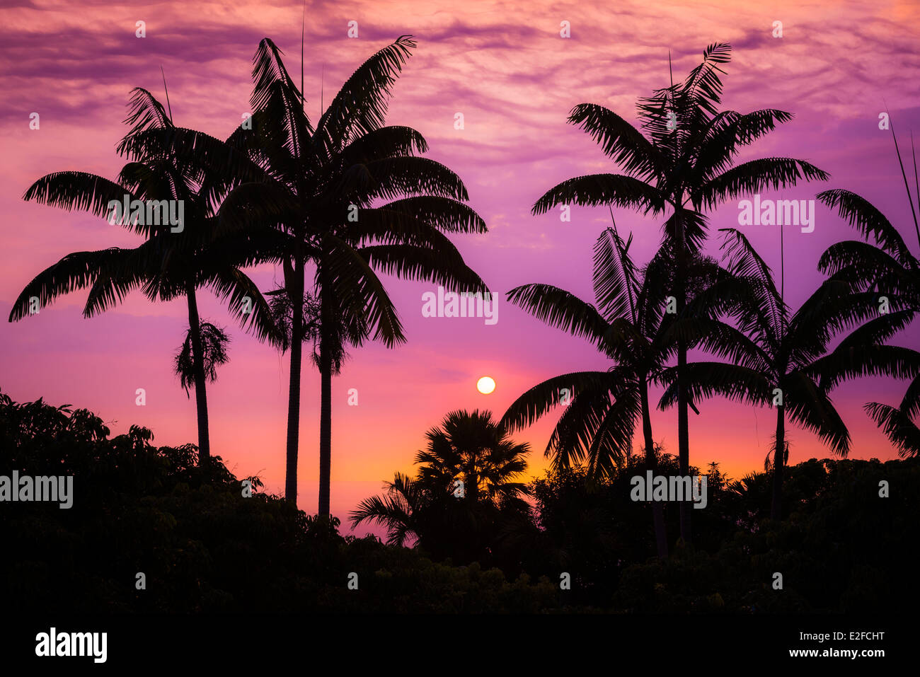 Coucher Du Soleil Par La Silhouette Des Palmiers Cote De Kona Big Island Hawaii Usa Photo Stock Alamy Coucher Du Soleil Par La Silhouette Des Palmiers Cote De Kona Big Island Hawaii Usa Photo Stock Alamy