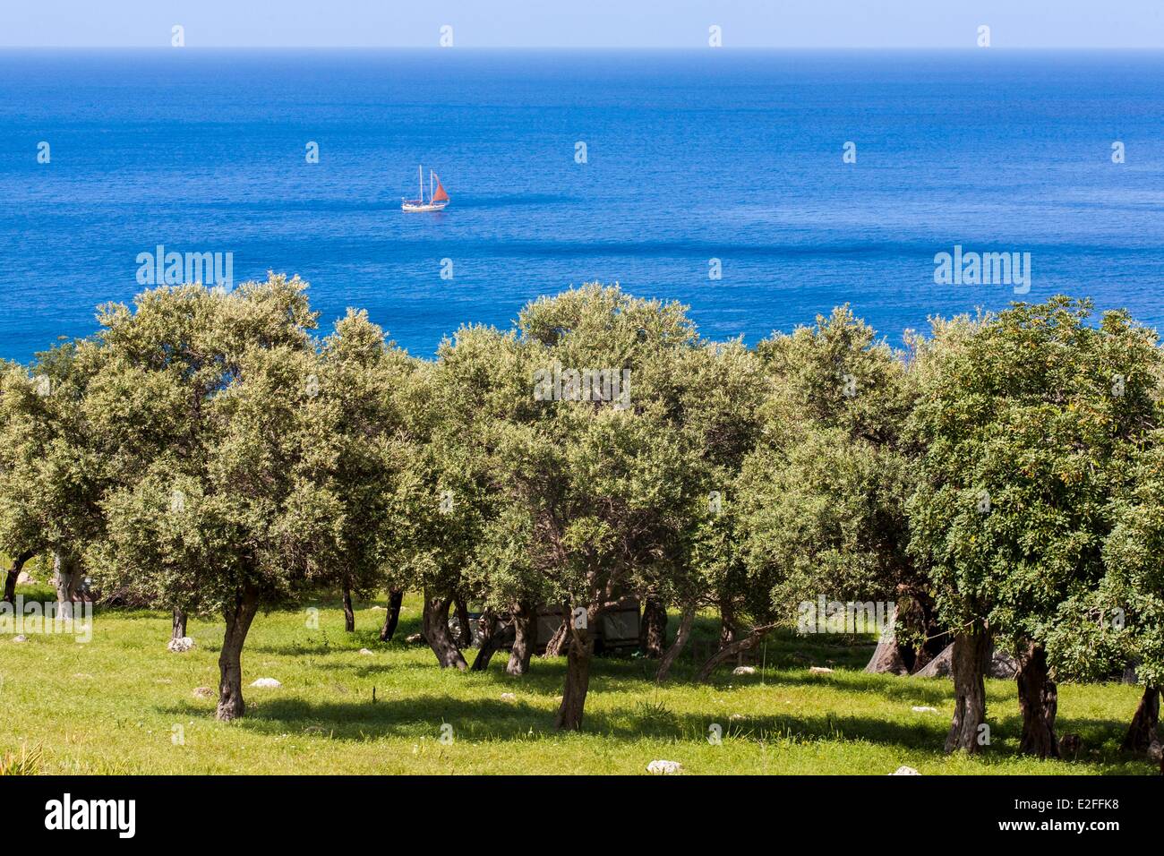 Chypre, péninsule d'Akamas, côte sauvage à l'extrême ouest de l'île Banque D'Images