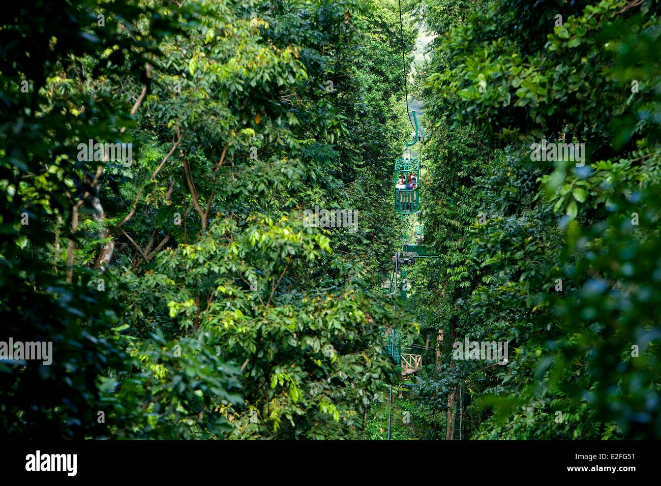 Antilles Caraïbes, des îles du Vent, Sainte-Lucie, au nord ouest de l'Île, Quartier Castries, forêt tropicale, forêt pod Découverte Banque D'Images