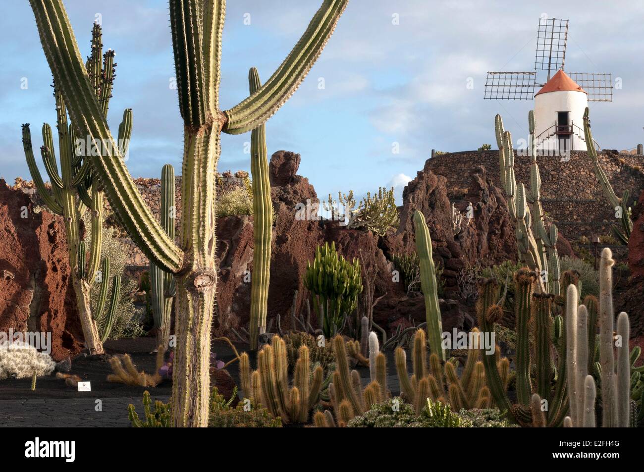 Espagne, Canaries, Lanzarote, l'île de San Juan, le jardin de cactus conçu par Cesar Manrique Banque D'Images