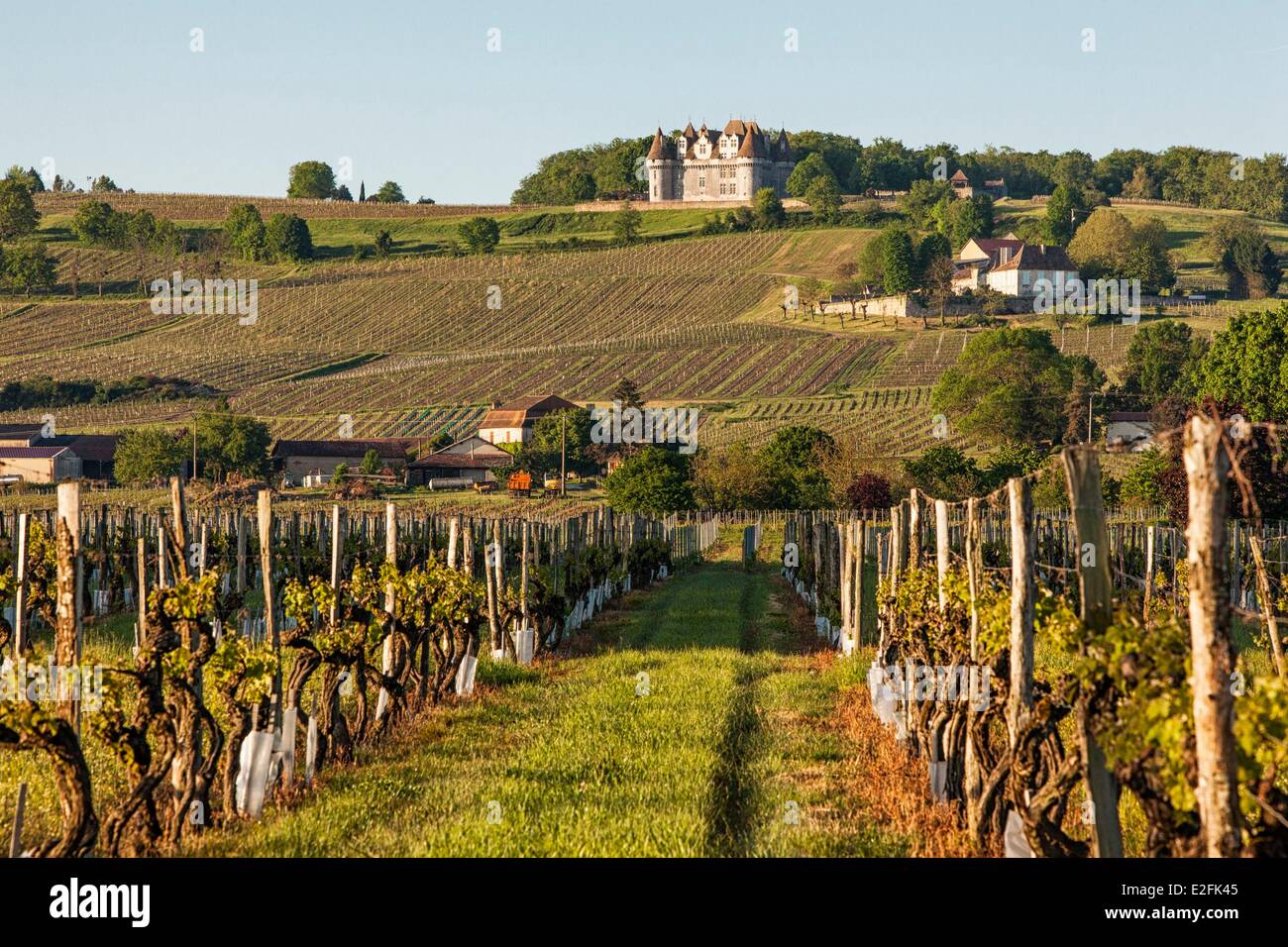 France, Dordogne (24), Périgord Pourpre, vignes et château de Monbazillac Banque D'Images