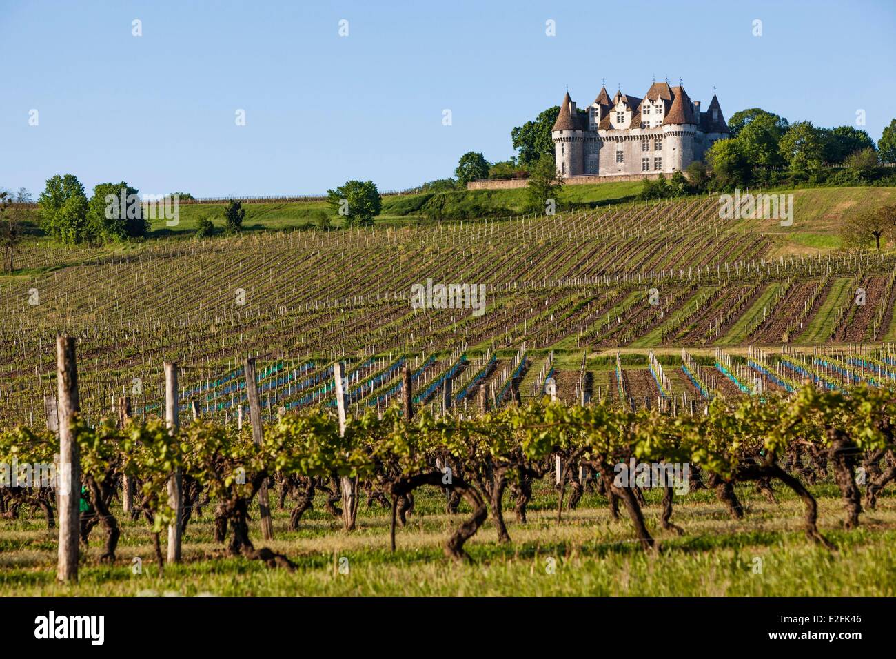 France, Dordogne (24), Périgord Pourpre, vignes et château de Monbazillac Banque D'Images