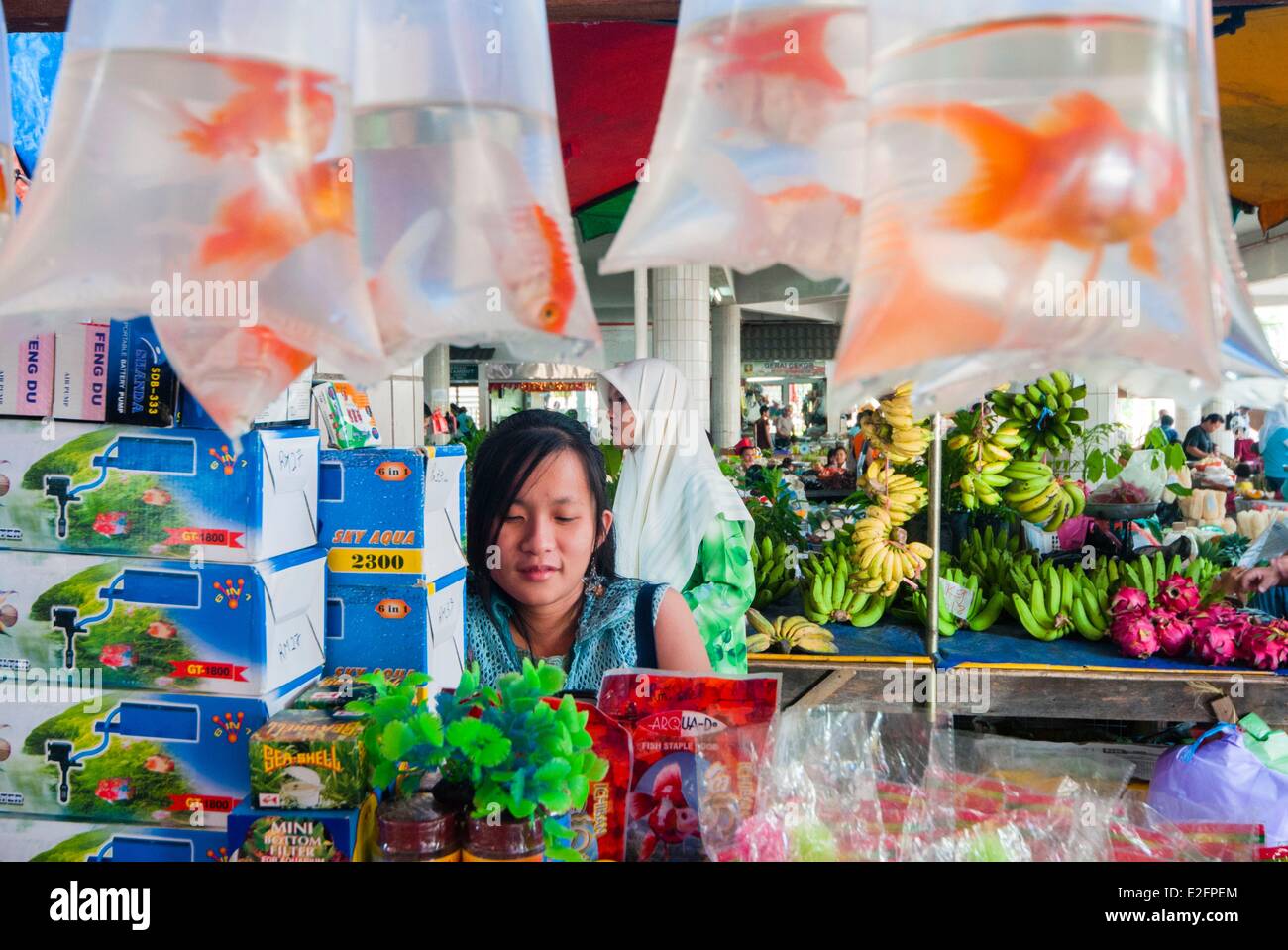 Malaisie Bornéo Malaisien Sarawak Kuching État marché alimentaire vendeur de poissons rouges Banque D'Images