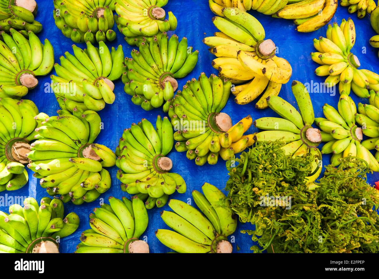 Malaisie Bornéo Malaisien Sarawak Kuching état du marché alimentaire de bananes Banque D'Images