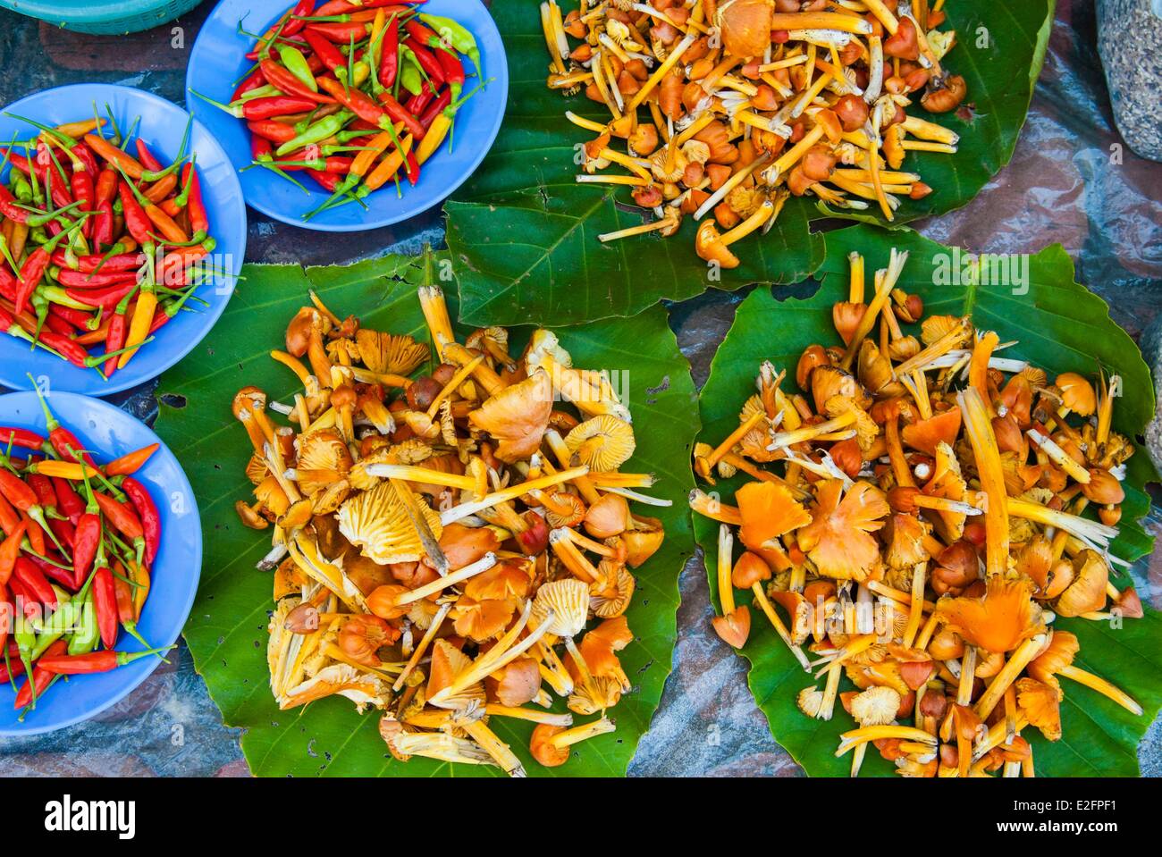 L'État de Sarawak en Malaisie Bornéo Malaisien marché alimentaire Serian Kulat champignons locaux Banque D'Images