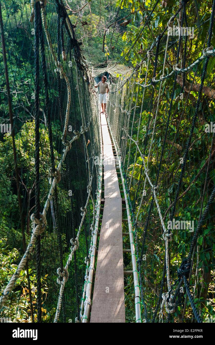 Malaisie Bornéo Malaisien Sarawak State Batang Ai Canopy Walkway Parc National à travers la forêt Banque D'Images