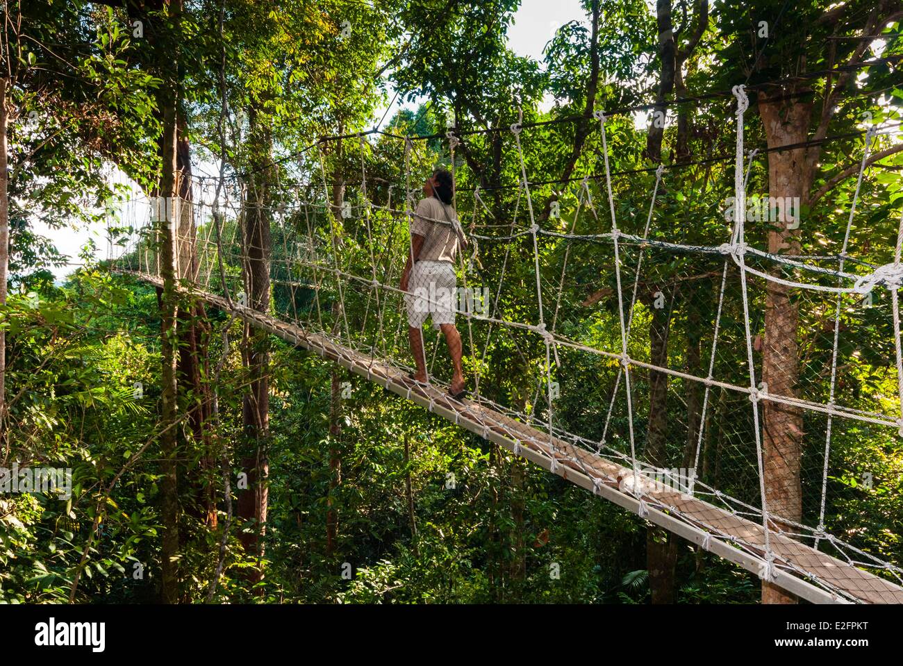 Malaisie Bornéo Malaisien Sarawak State Batang Ai Canopy Walkway Parc National à travers la forêt Banque D'Images