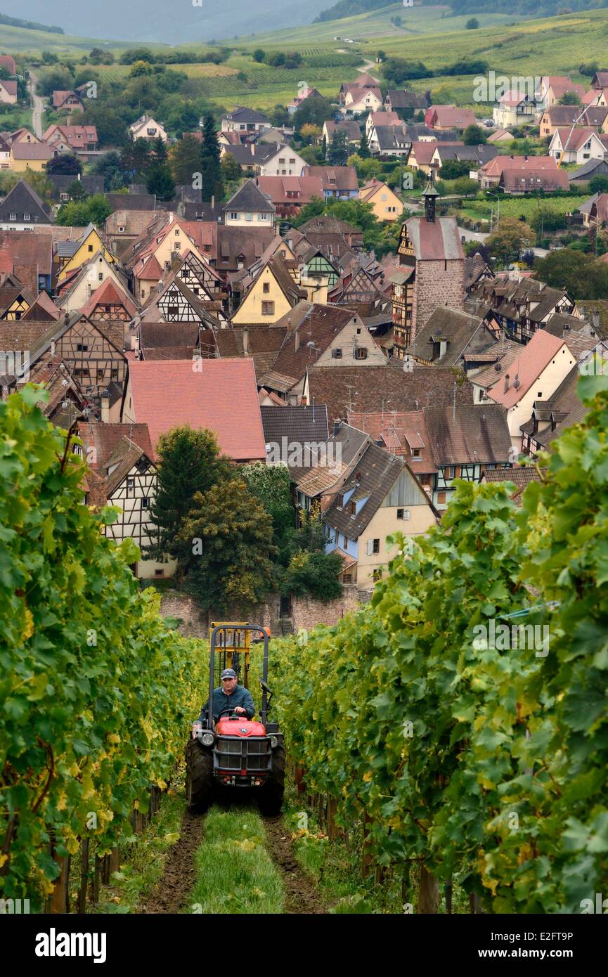 France Haut Rhin Alsace Riquewihr étiqueté Les Plus Beaux Villages de France (Les Plus Beaux Villages de Banque D'Images